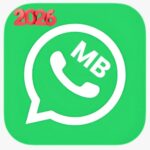 MB WhatsApp